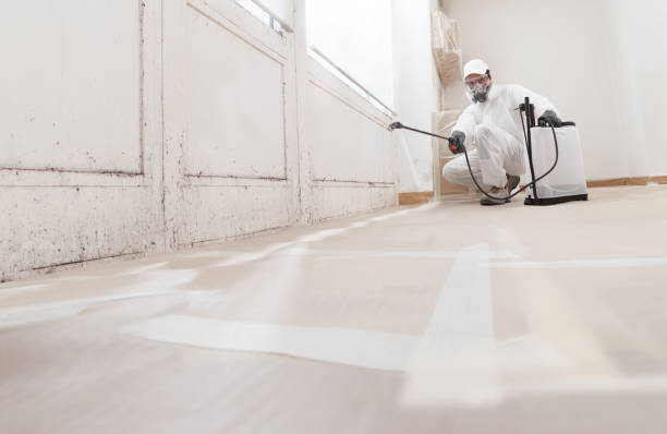 24/7 Emergency Basement Mold Remediation experts in Hermitage, PA